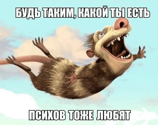 1631630231234.webp