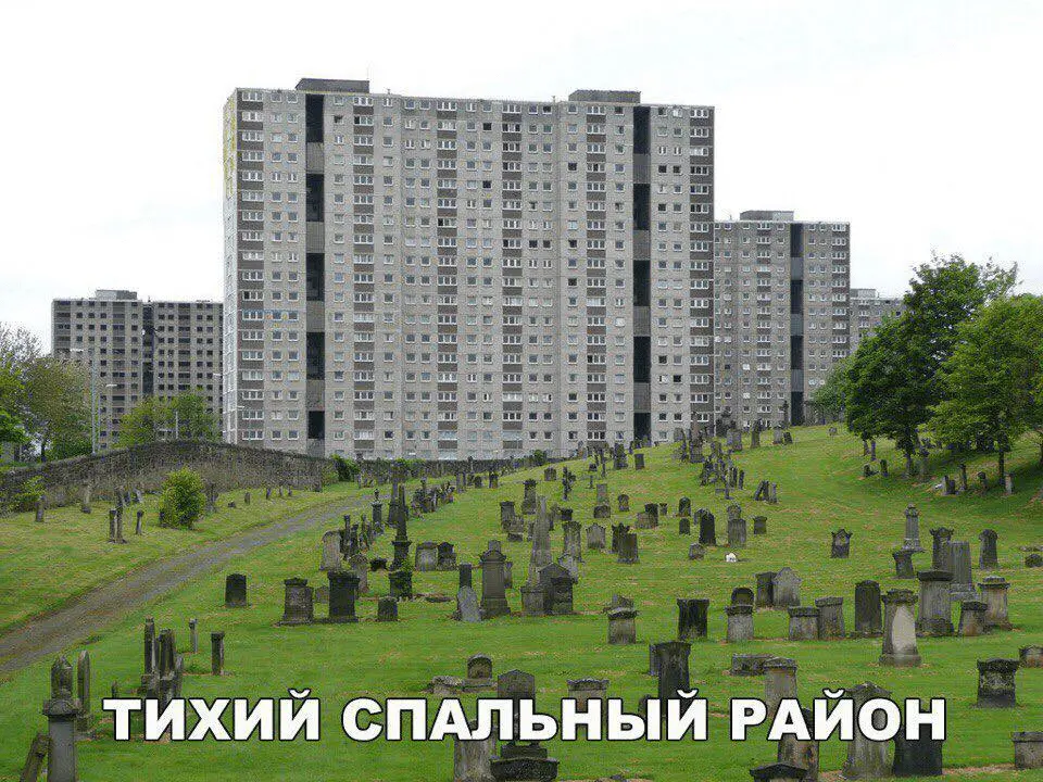 1631817676920.webp