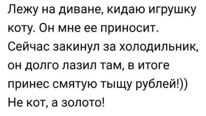1632135634703.webp