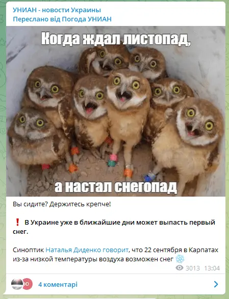 1632138501499.webp