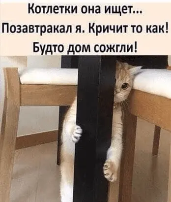 1632142493357.webp