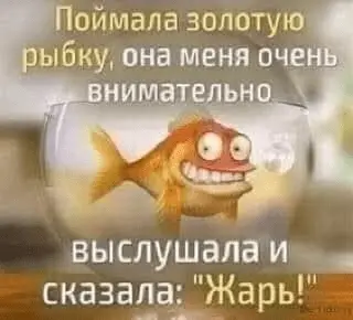 1632143496029.webp