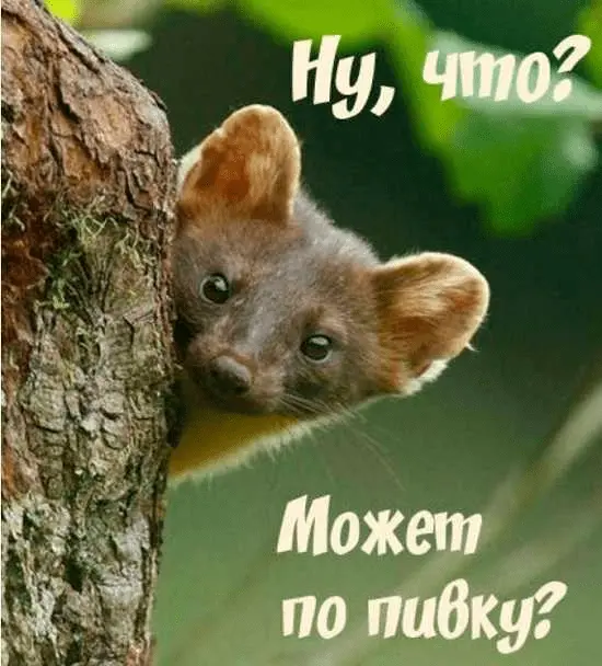 1632239149709.webp