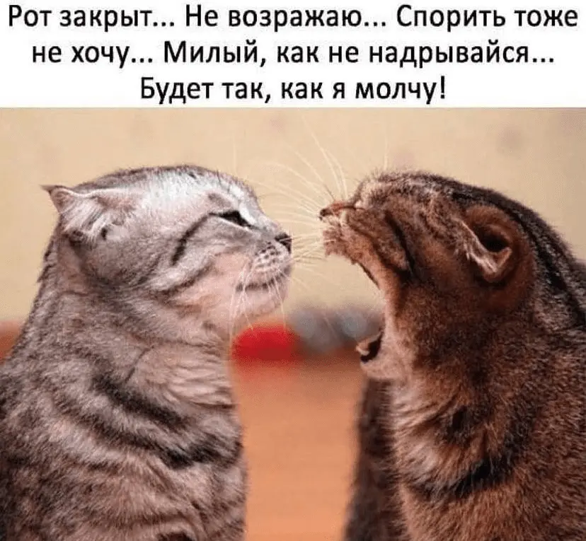1632309475552.png