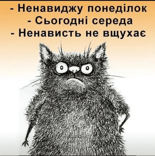 1632320887564.webp