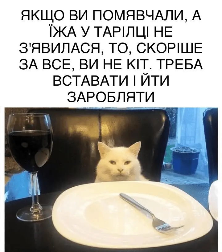 1632321249068.webp