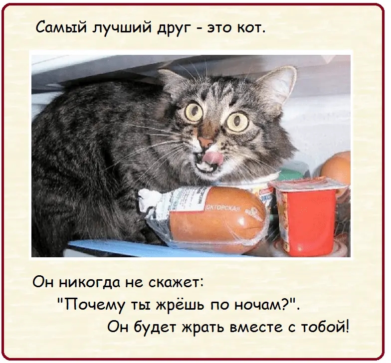 1632473105668.webp