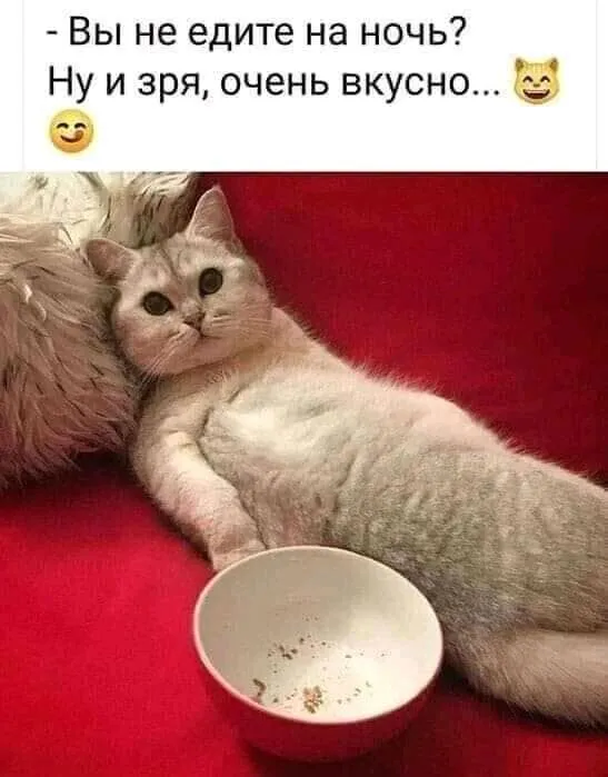 1632482023338.webp