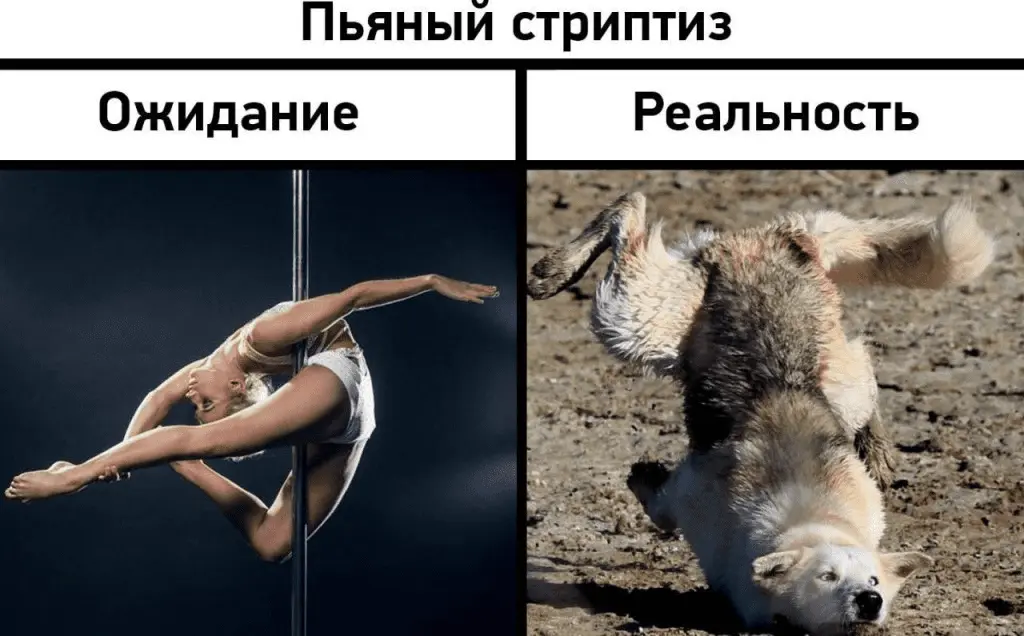 1632558393040.webp