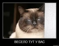 1632748256507.webp