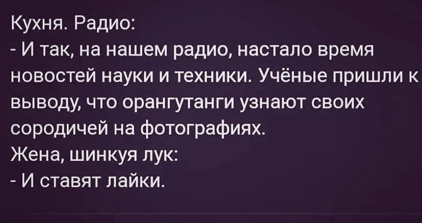 1633098403456.webp
