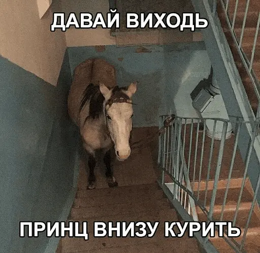 1633206066635.webp