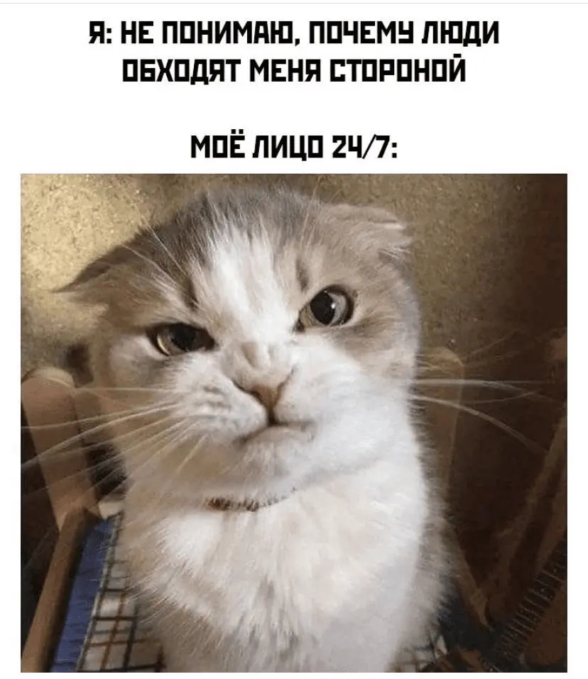 1633335565494.png