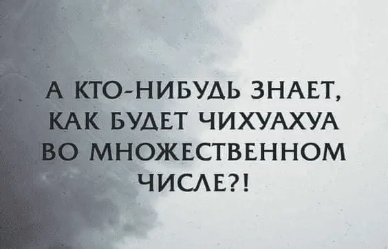 1633594013522.webp