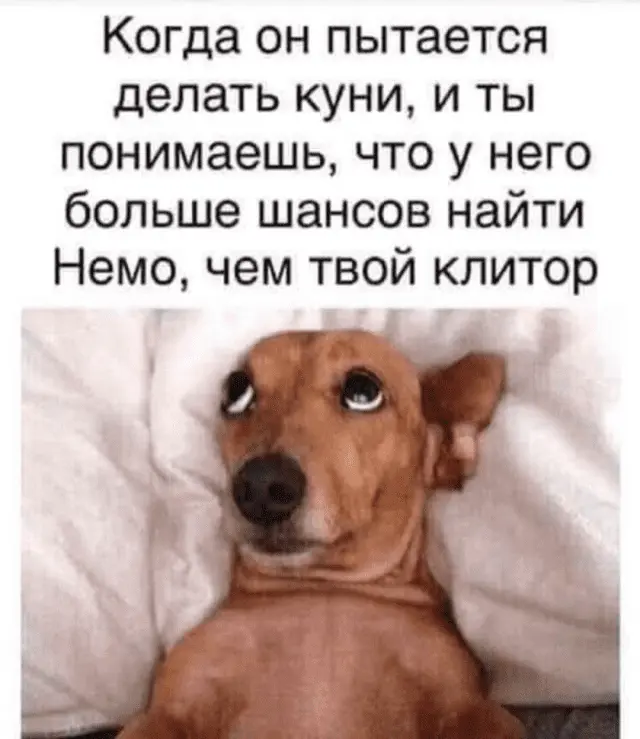 1633865649792.webp