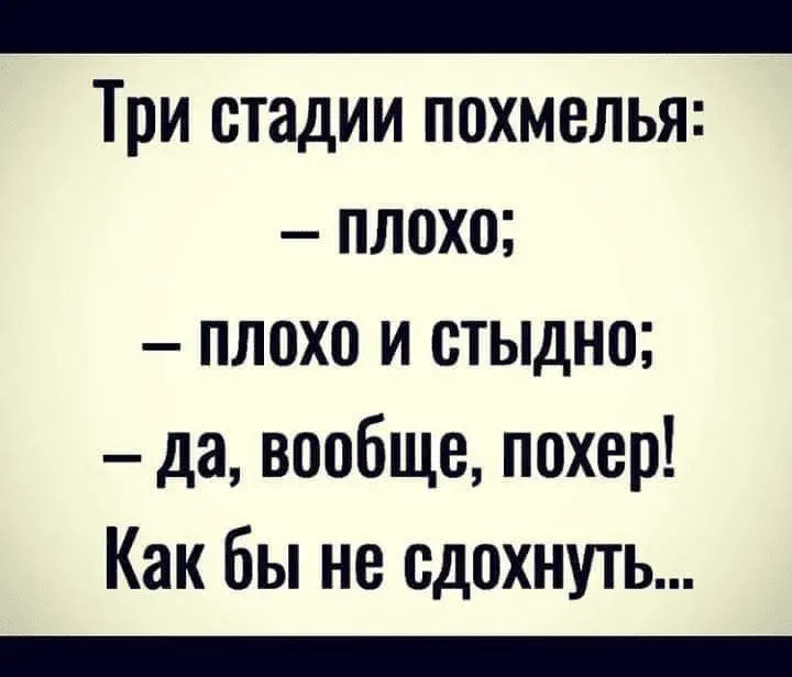1633949596442.webp