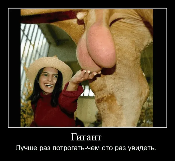 1634327681960.webp
