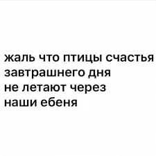 1634412370714.webp