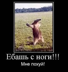 1634496510976.webp