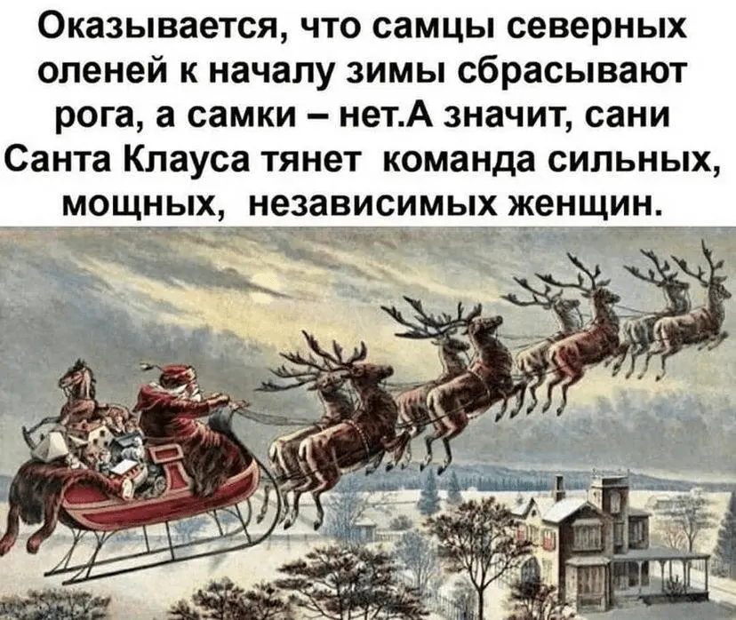 1634630729964.webp