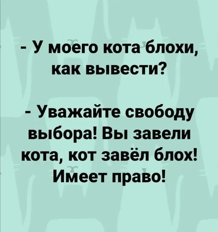 1634740332146.webp