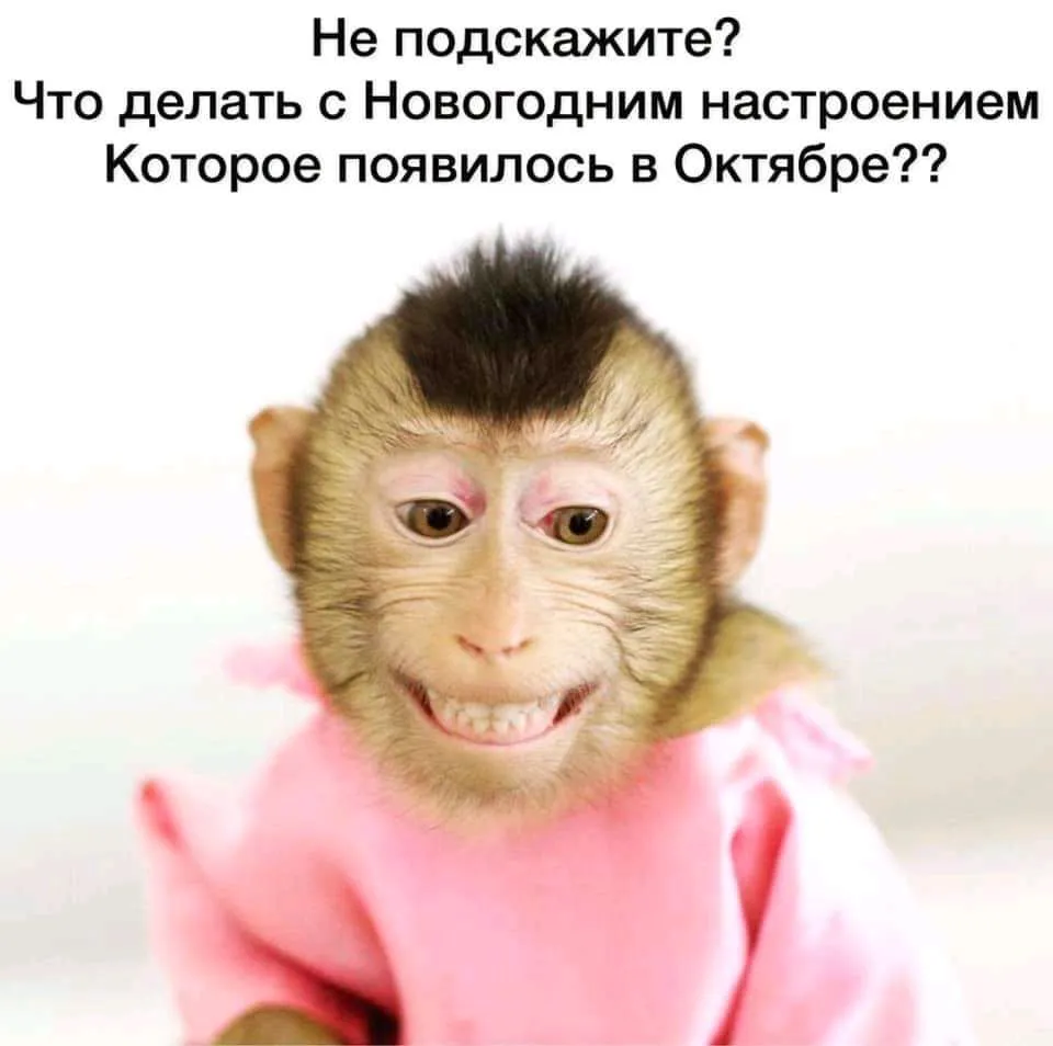 1634811197736.webp