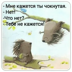1635164703400.png