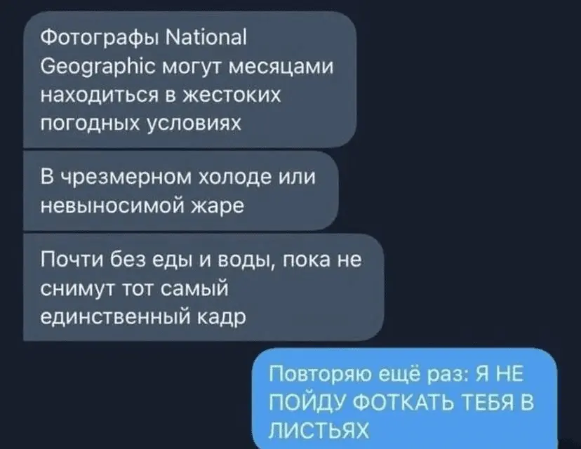 1635166341737.webp