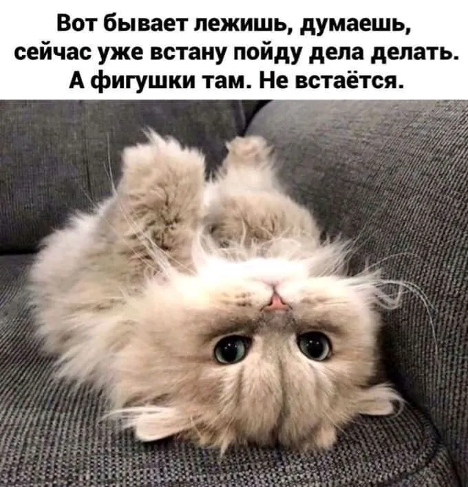 1635663613228.webp