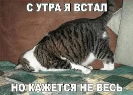 1636952928731.webp