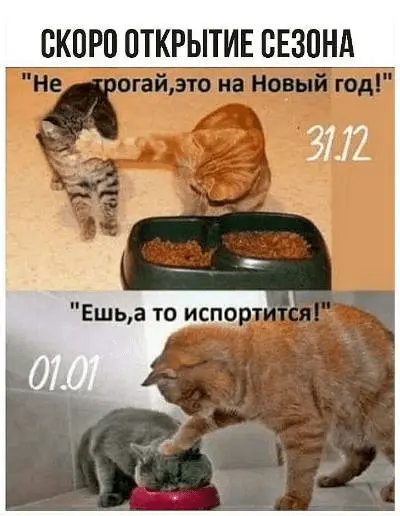 1637317971534.webp