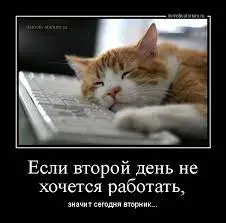 1638266026465.webp