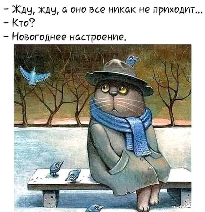1639773946826.jpg