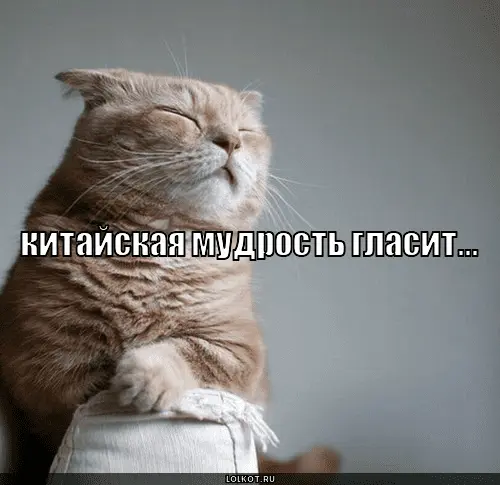 1640033352588.webp