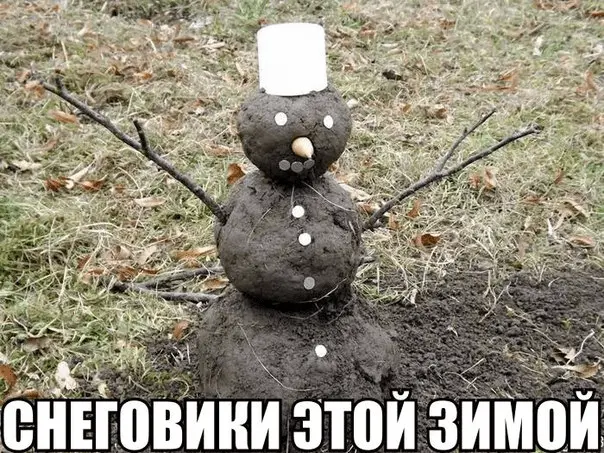 1641026721133.webp