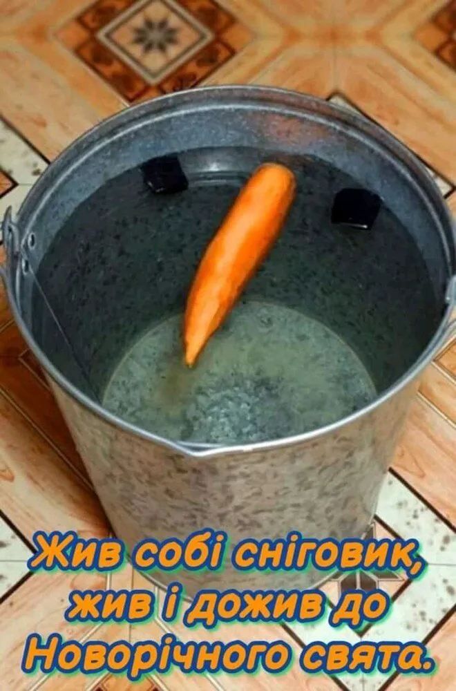 1641157722095.webp