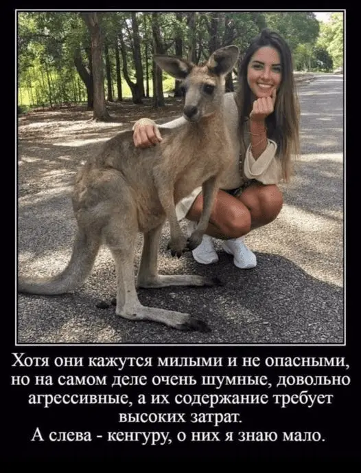 1641361679442.webp
