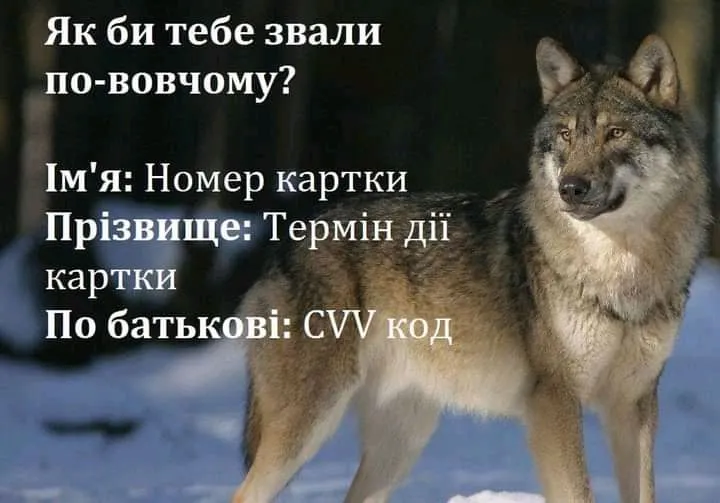 1641383124722.webp