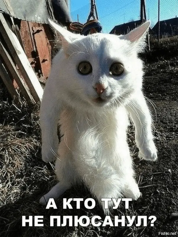 1641412799454.png