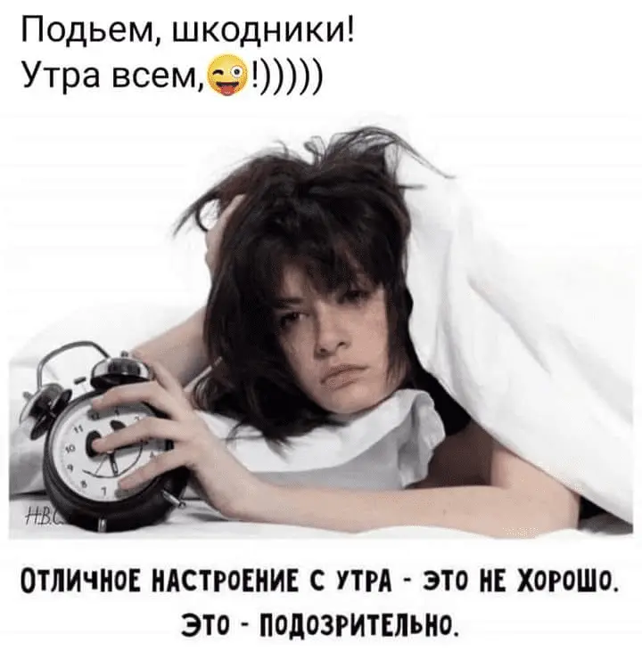 1641448465121.webp