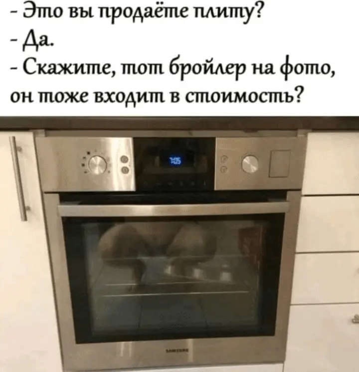 1641460081665.webp