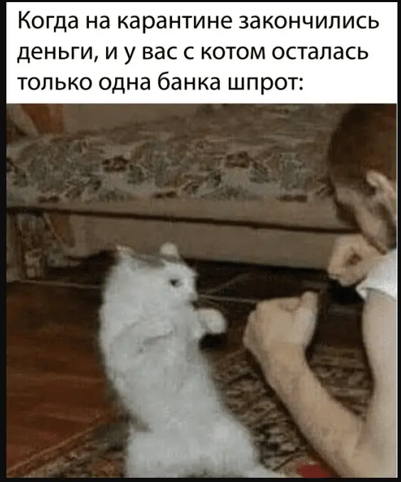 1641657886593.webp