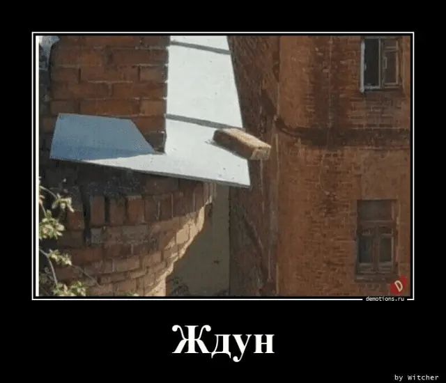 1641662417678.webp