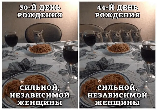1641751205797.webp