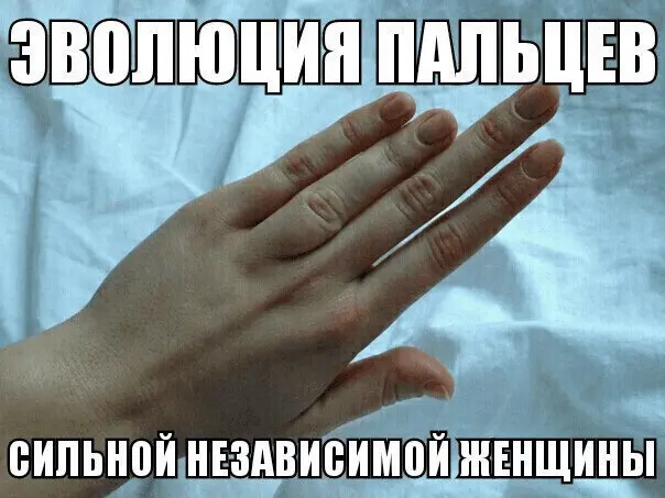 1641761017892.webp