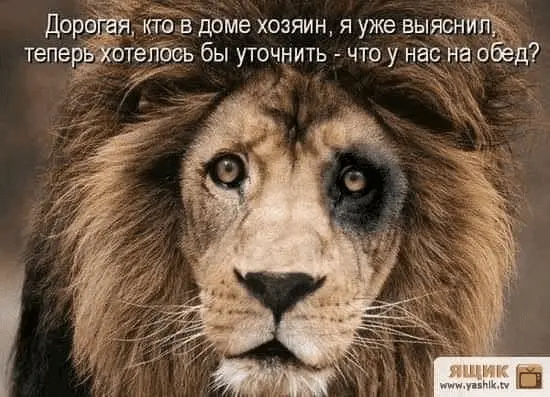 1641911159352.webp
