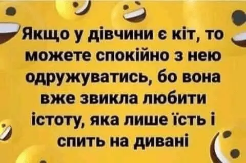 1642362609274.webp