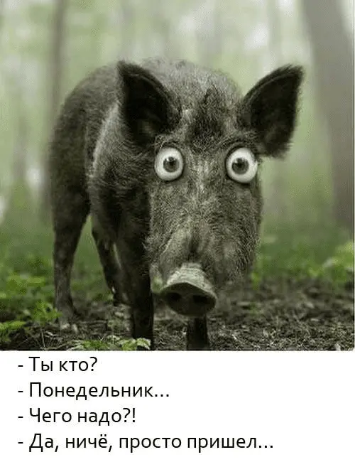 1642401773273.png