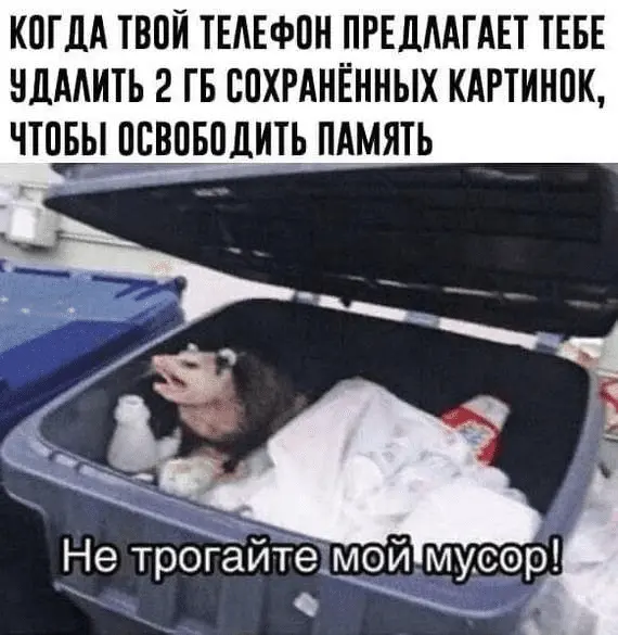 1642484522154.webp