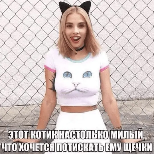 1642490521724.webp